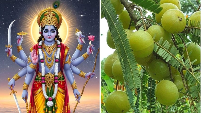 Amalaki Ekadashi 2026: फाल्गुन की अंतिम एकादशी के व्रत की सही तारीख जानें, इसी दिन होगी रंगभरी एकादशी की भी पूजा