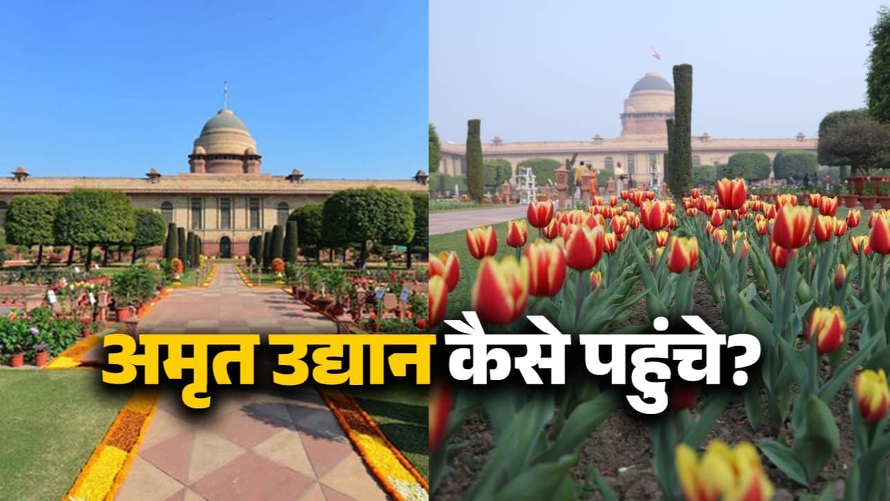 Amrit Udhyan: कल से खुलने जा रहा है आम जनता के लिए राष्ट्रपति भवन का अमृत उद्यान; कहां मिलेगा टिकट, कौन सा नजदीकी मेट्रो स्टेशन? जानिए सबकुछ