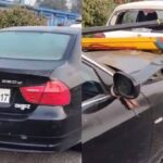 BREAKING: देहरादून में तेज रफ्तार BMW ने पुलिस अधिकारी को मारी टक्कर, कई वाहनों को भी चपेट में लिया; हालत गंभीर