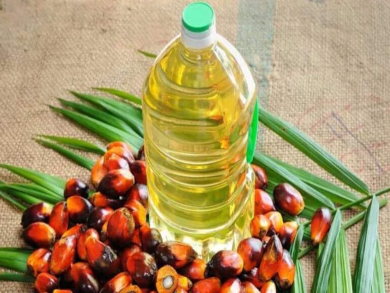 Edible Oil : सोयाबीन, सोया ऑयल की कीमतों में तेजी, 3-7 महीने की उंचाई पर पहुंचा भाव, क्या आगे भी जारी रहेगी तेजी