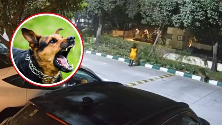 Greater Noida: जेपी ग्रीन्स में आवारा कुत्तों के आतंक का वीडियो वायरल, सुरक्षा की मांग को लेकर FMD ऑफिस पर हल्लाबोल