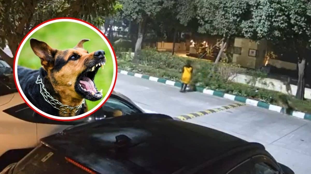 Greater Noida: जेपी ग्रीन्स में आवारा कुत्तों के आतंक का वीडियो वायरल, सुरक्षा की मांग को लेकर FMD ऑफिस पर हल्लाबोल