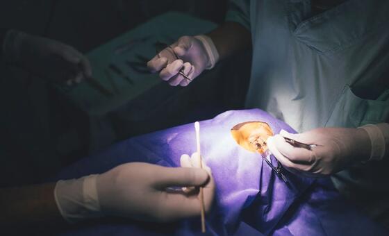 9 करोड़ से अधिक लोग मोतियाबिन्द से प्रभावित, सर्जरी की तत्काल ज़रूरत - WHO