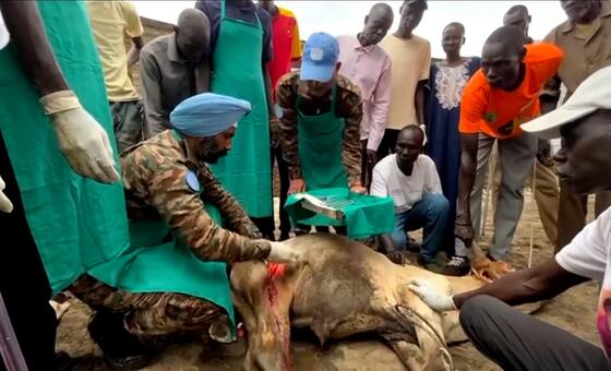 दक्षिण सूडान – पशुओं की चिकित्सा देखभाल से समुदायों की भलाई