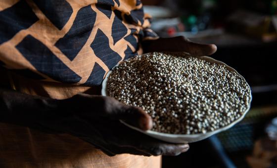 लेबनान: चने की खेती के लिए किसानों को FAO का सहयोग