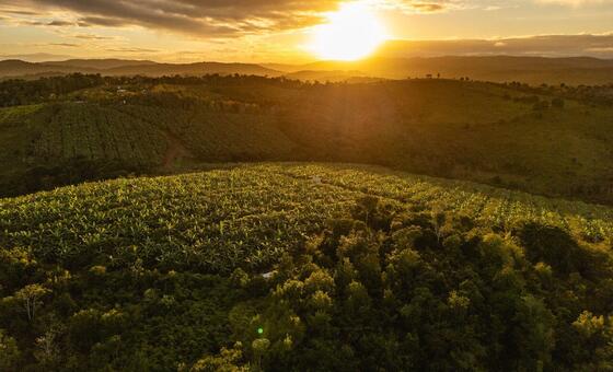 ‘ऐग्रीहुड’: हरियाली की छाँव में भविष्य के शहरों की परिकल्पना