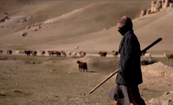 अफ़ग़ानिस्तान: सर्दी के मौसम में सूखे जैसे हालात, कृषि को नुक़सान