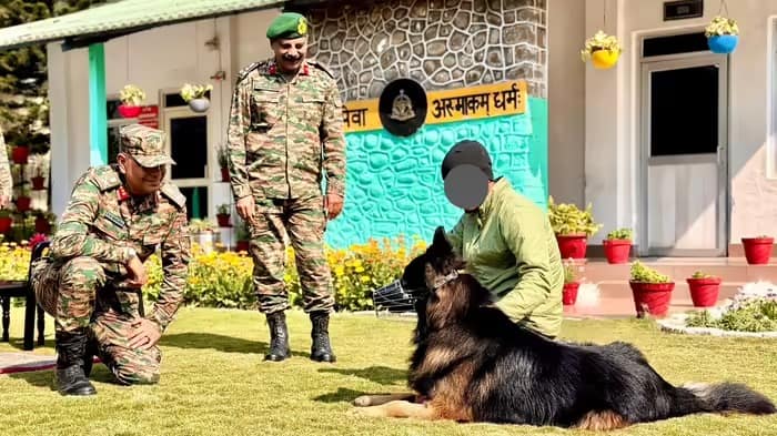 अब कैसा है देश के लिए पहली गोली खाने वाला साइलेंट वॉरियर 'टायसन', आर्मी ने दी जानकारी