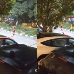 Greater Noida: जेपी ग्रीन्स सोसाइटी में आवारा कुत्तों के झुंड ने महिला को घेरा, स्थानीय लोगों को सुरक्षा की चिंता, प्रशासन को दिया 5 दिन का अल्टीमेटम