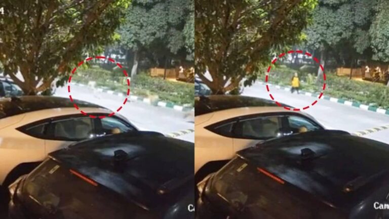 Greater Noida: जेपी ग्रीन्स सोसाइटी में आवारा कुत्तों के झुंड ने महिला को घेरा, स्थानीय लोगों को सुरक्षा की चिंता, प्रशासन को दिया 5 दिन का अल्टीमेटम