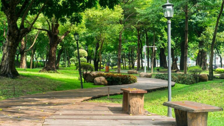 40 साल पुराने पार्क को 'धार्मिक स्थल' में बदलने के फैसले पर बवाल, लोगों ने नोएडा अथॉरिटी के खिलाफ खोला मोर्चा; क्या है पूरा मामला?