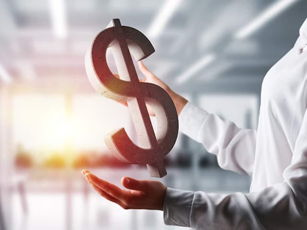 FIIs buying in India: लौट आए विदेशी निवेशक! फरवरी में आया 17 महीने का रिकॉर्ड निवेश, एक्सपर्ट ने दिए ये संकेत