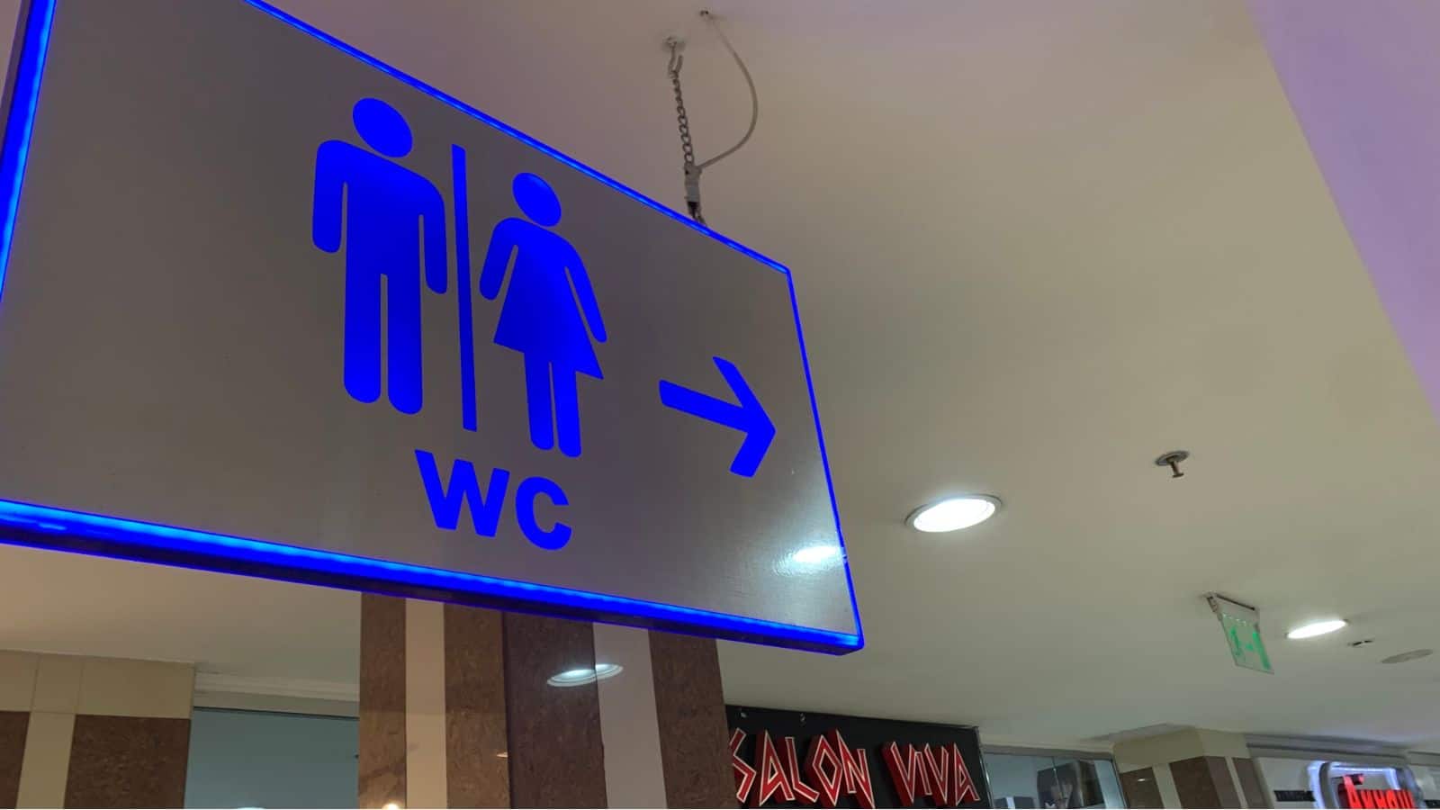 Amazing Facts: वॉशरूम के दरवाजे पर WC क्यों लिखा होता है? 99% लोग नहीं जानते वजह