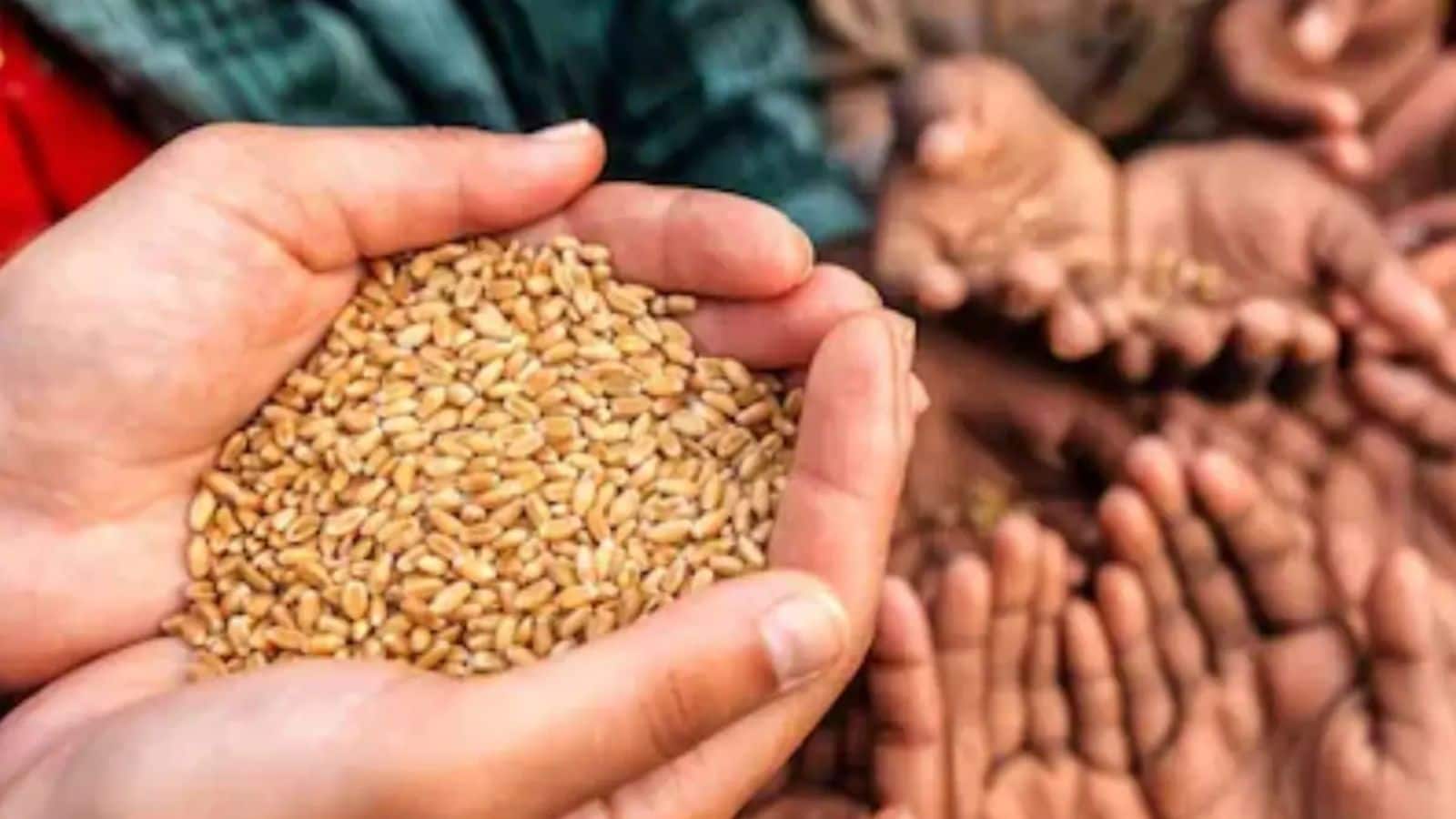 फ्यूल के बाद अब भोजन का संकट! दुनिया को भुखमरी की ओर धकेल रहा है मिडिल ईस्ट युद्ध; रिपोर्ट में सामने आए डरावने आंकड़े