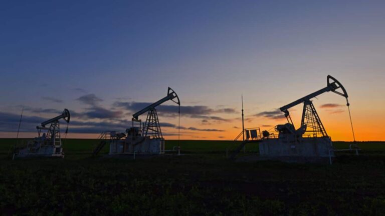 'फंडिंग गैप, काम में देरी...', एनर्जी सिक्योरिटी के संकट के बीच स्ट्रैटेजिक ऑयल रिजर्व को लेकर संसदीय समिति ने जताई गंभीर चिंता