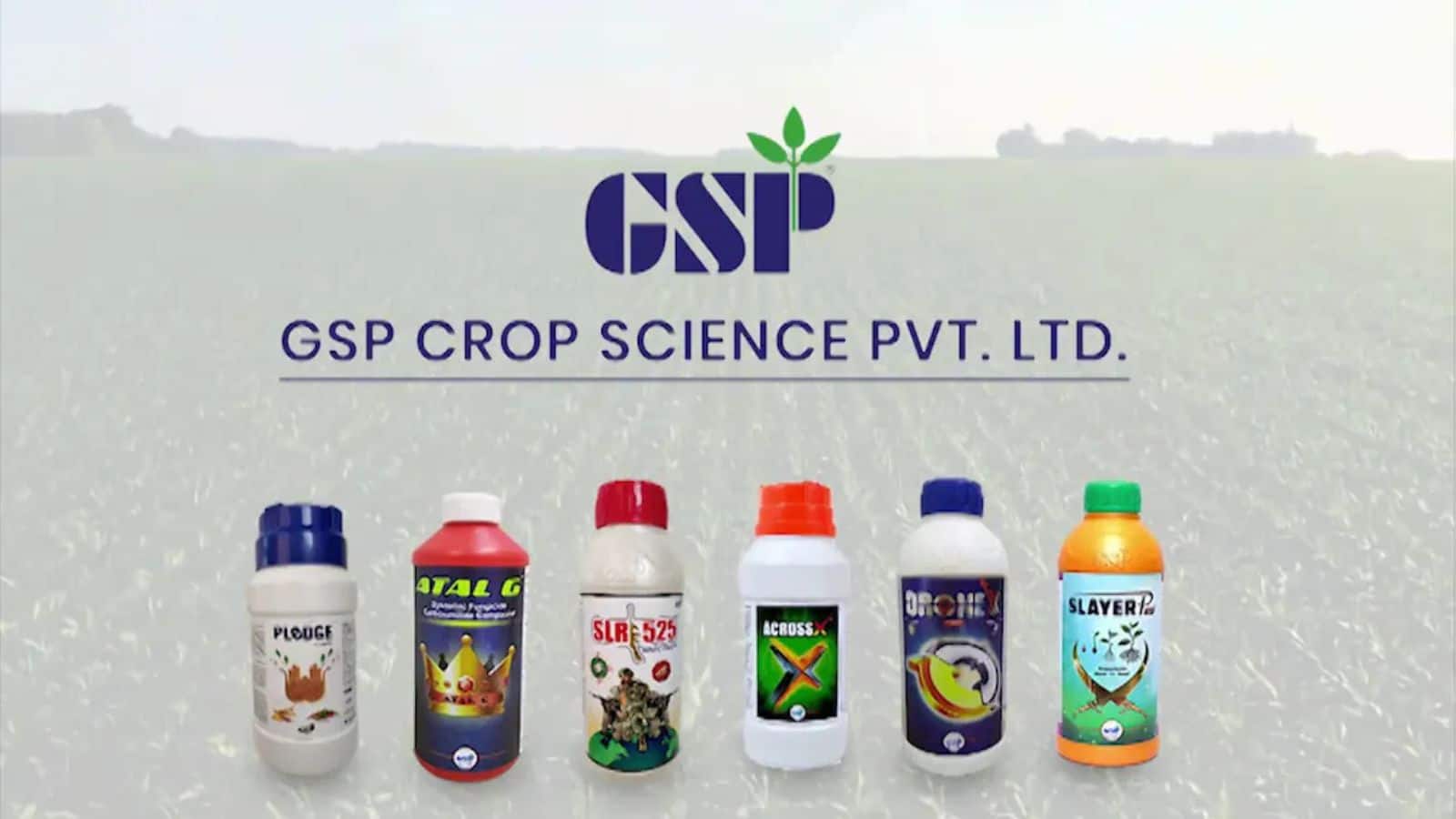 GSP Crop Science IPO: दूसरे दिन अब तक 65% सब्सक्राइब, QIB और NII हिस्सा फुल; एक्सपर्ट्स की राय के साथ जानें कितना है लेटेस्ट GMP?