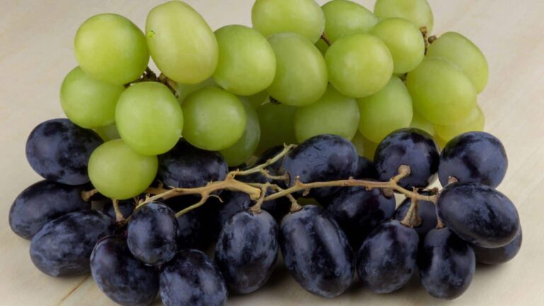 अंगूर खरीदने से पहले जान लें ये फर्क, हरे और काले में कौन है बेस्ट ऑप्शन