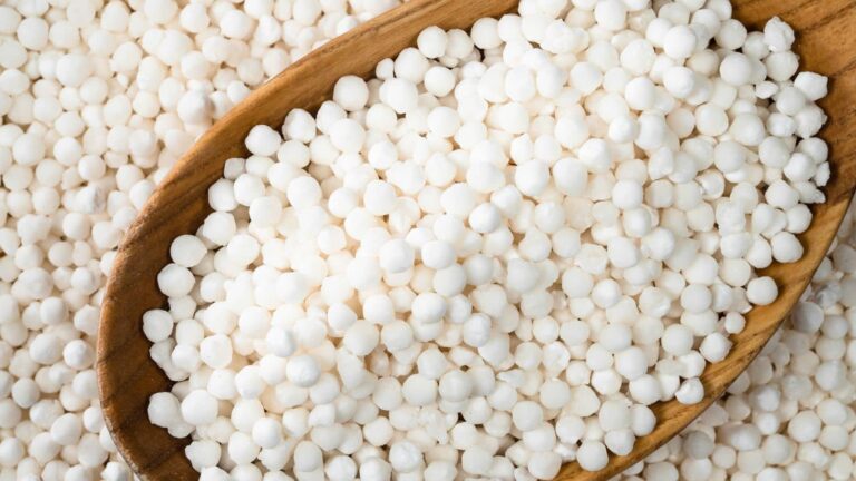 फैक्ट्री में बनता है या पेड़ पर उगता है साबूदाना? जानें पूरा सच