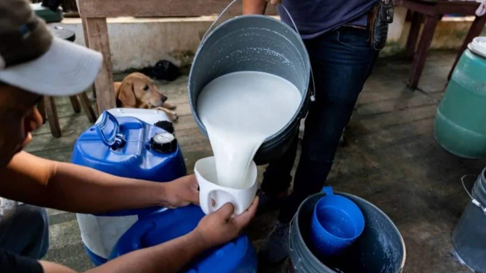 Andhra Pradesh News: आंध्र प्रदेश में 12 लोगों की मौत से हड़कंप! मिलावटी दूध पीते ही अचानक बिगड़ी तबीयत, 8 अस्पताल में भर्ती