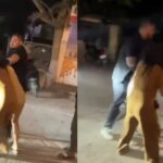 भोपाल में नशे में धुत युवतियों का हाईवोल्टेज ड्रामा, क्लब के बाहर सड़क पर जमकर मारपीट, एक की कटी उंगली; VIDEO