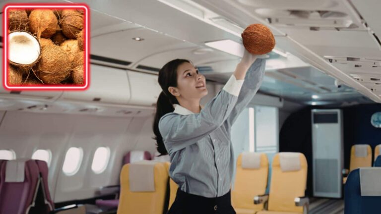 Airplane safety rules: नारियल जैसा साधारण फल फ्लाइट में क्यों है बैन? जानिए पूरा नियम