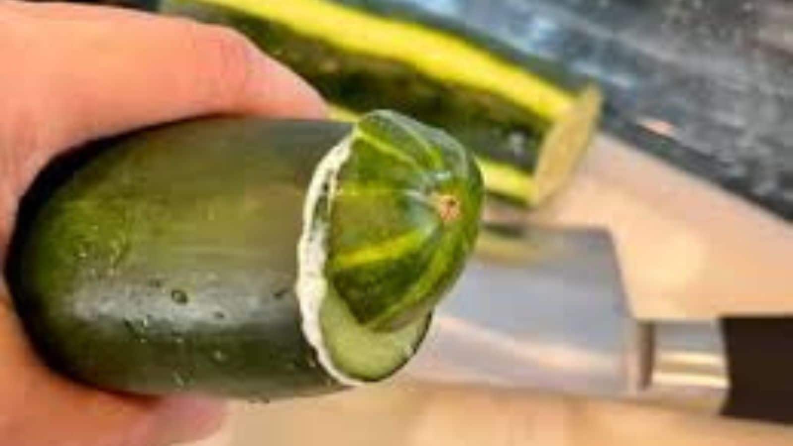 खीरा काटने से पहले लोग क्यों घिसते हैं उसका सिरा, क्या है इसके पीछे का साइंस?