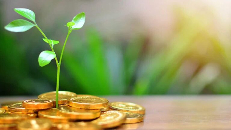 Emergency Fund: मुश्किल समय में काम आएगा ये पैसा, जानिए क्यों है जरूरी