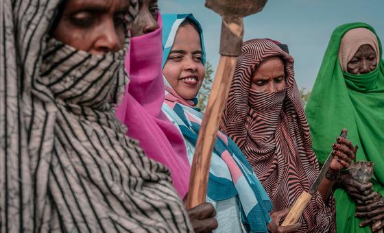 क़ानूनी अधिकारों में बराबरी के बिना, लैंगिक समानता के प्रयास अधूरे हैं - महासचिव