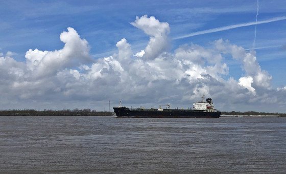 FAO की चेतावनी, खाड़ी संकट का वैश्विक खाद्य सुरक्षा पर व्यापक असर