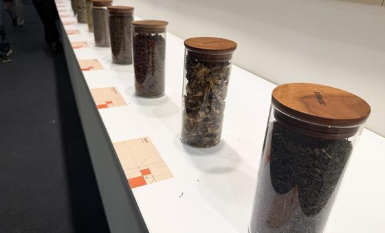 विश्व वन्यजीव दिवस पर औषधीय पौधों का महत्व