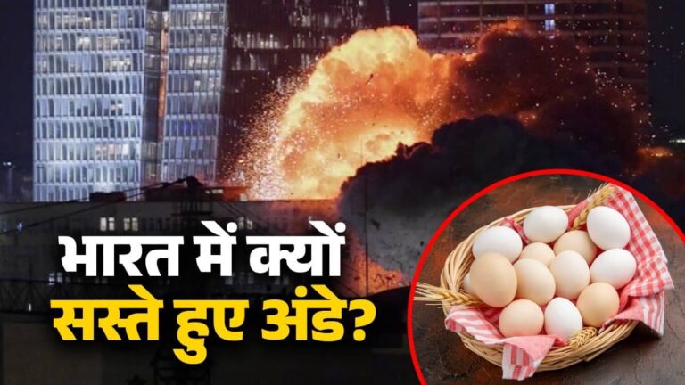 भारत में अचानक क्यों तेजी से कम हुए अंडे के दाम? ईरान युद्ध से है कनेक्शन