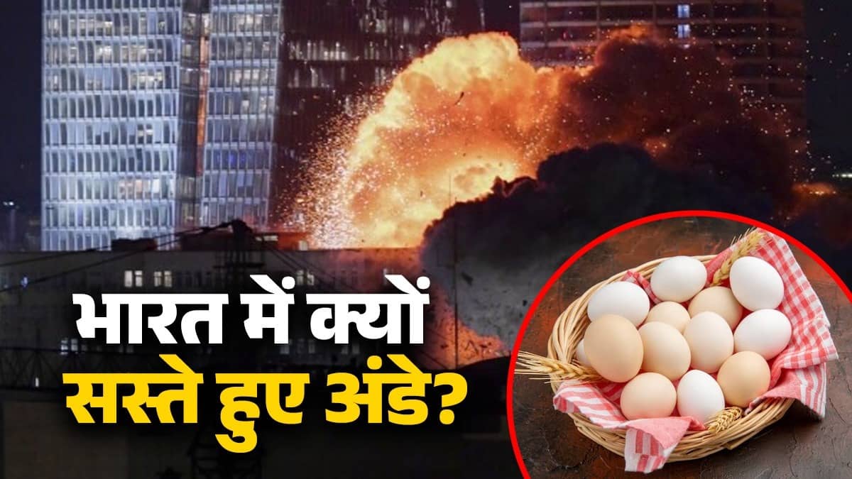 भारत में अचानक क्यों तेजी से कम हुए अंडे के दाम? ईरान युद्ध से है कनेक्शन