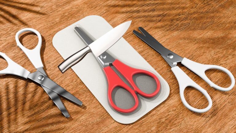 Tips and Tricks: रसोई में काम आसान बनाएं, चाकू-कैंची की धार तेज करें सिर्फ घरेलू उपायों से