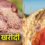 UP Wheat MSP Hike: किसानों को योगी सरकार का बड़ा तोहफा, गेहूं के MSP में भारी बढ़ोतरी; जानें नई दर