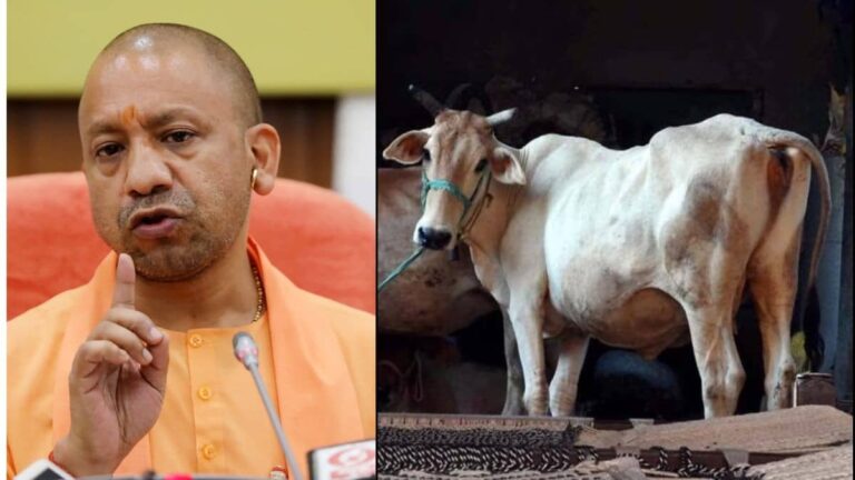 UP: यूपी में गौ तस्करों की आई शामत, योगी सरकार का ताबड़तोड़ एक्शन, 35 हजार आरोपी सलाखों के पीछे; 83 करोड़ से ज्यादा की संपत्ति जब्त