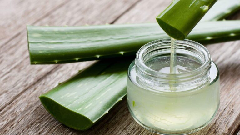 Aloe Vera Gel: एलोवेरा जेल हर किसी के लिए नहीं, जानिए किन लोगों को रहना चाहिए सावधान