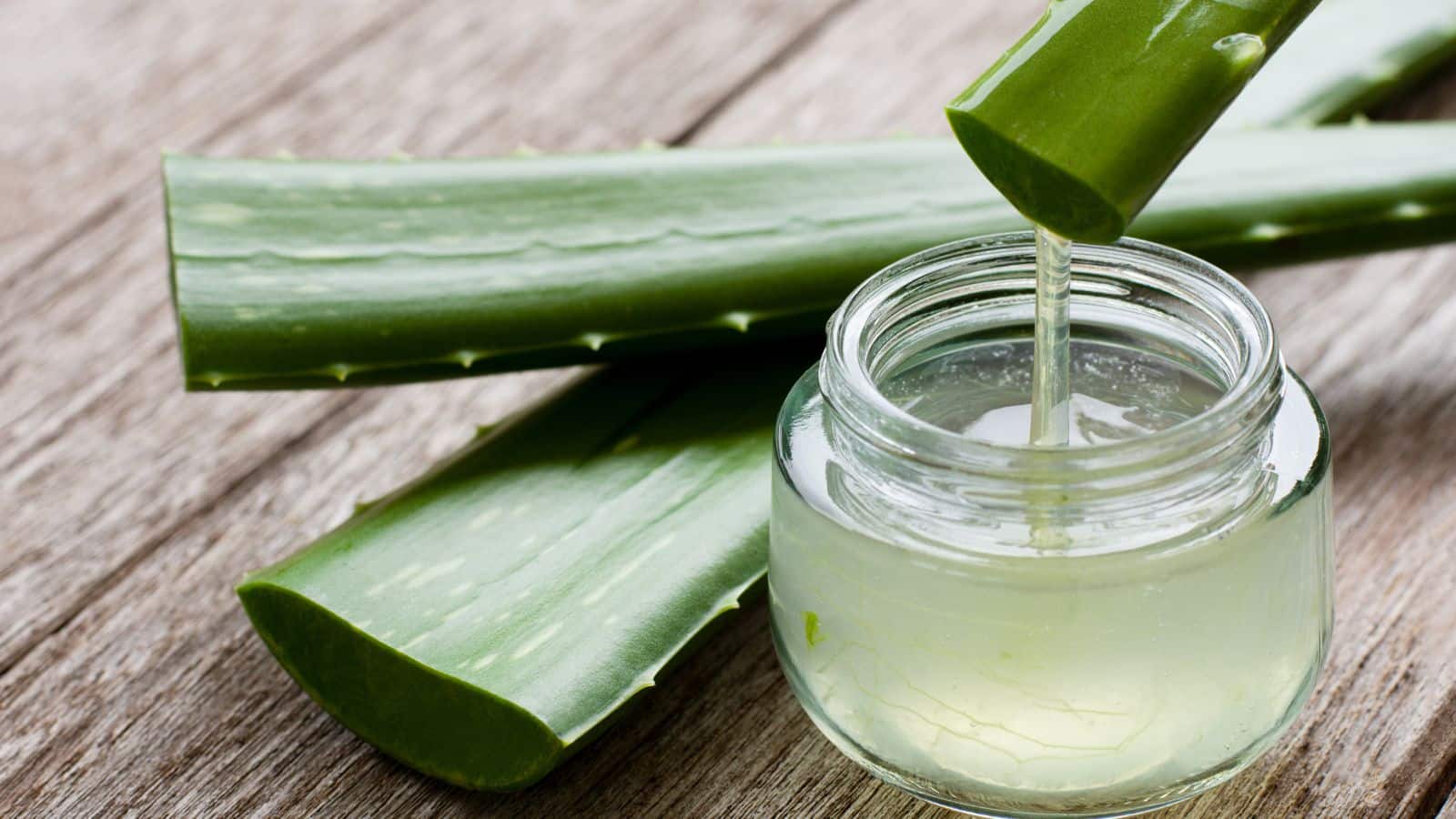 Aloe Vera Gel: एलोवेरा जेल हर किसी के लिए नहीं, जानिए किन लोगों को रहना चाहिए सावधान