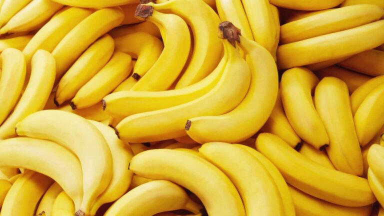 केले की खेती में नंबर 1 है ये शहर, जानिए इसकी खासियत