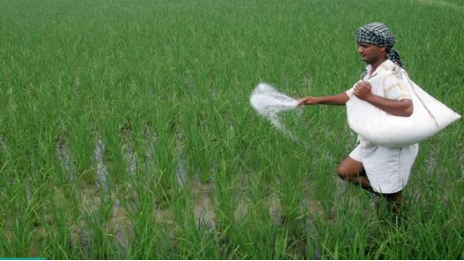 पहले LPG फिर क्रूड और क्या अब खाद की होगी किल्लत? किसानों के लिए सरकार ने उठाया बड़ा कदम