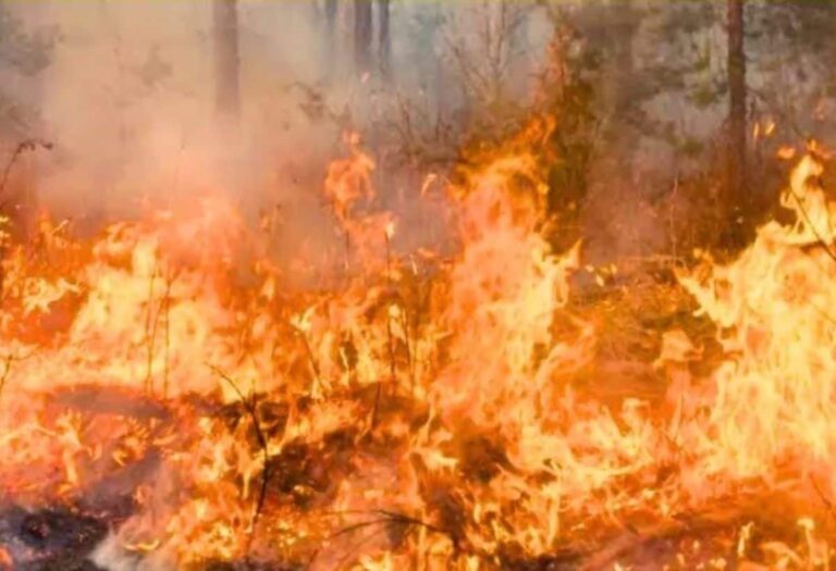 Tamil Nadu: तमिलनाडु की पटाखा फैक्ट्री में भीषण धमाका, 17 की मौत, कई घायल