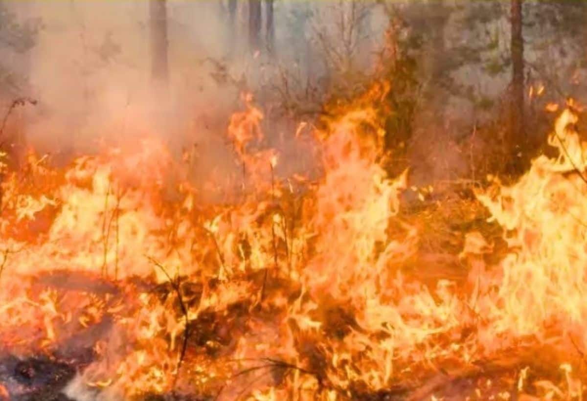 Tamil Nadu: तमिलनाडु की पटाखा फैक्ट्री में भीषण धमाका, 17 की मौत, कई घायल