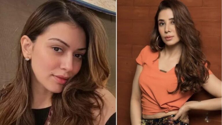 Hansika Motwani: हंसिका मोटवानी ने अपनी एक्स भाभी पर किया मानहानि का केस, मुआवजे में मांगे 2 करोड़ रुपये
