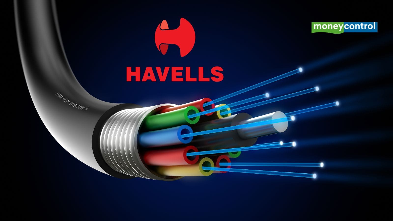 Havells India Q4 Results: मुनाफा 40% बढ़ा, केबल सेगमेंट में तगड़ी ग्रोथ; डिविडेंड का ऐलान