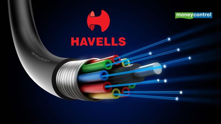 Havells India के शेयरों में 6% की गिरावट, तीन ब्रोकरेज फर्मों ने घटाई रेटिंग तो घबराए निवेशक