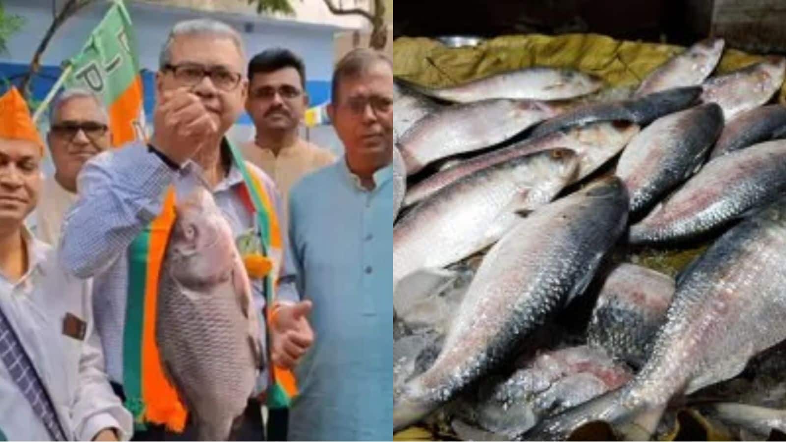 Hilsa politics:  दिल्ली में 1500 रुपये किलो तक बिकने वाली मछली बंगाल में हराने और जिताने जा रही चुनाव?