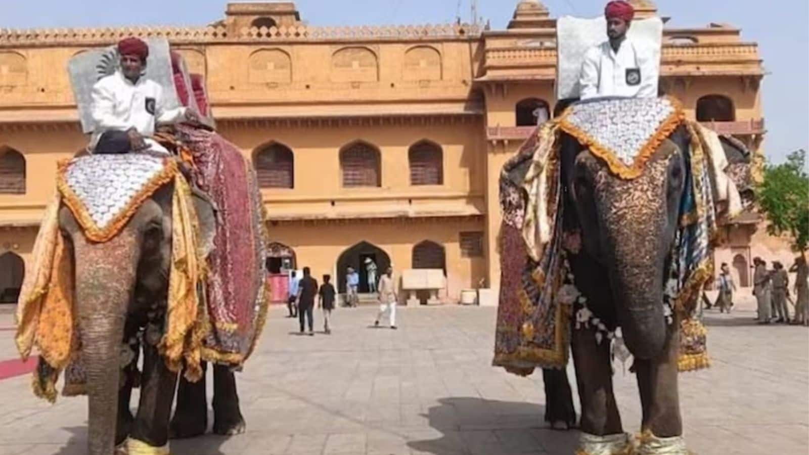 जयपुर के हाथी गांव में मनाया जाएगा अनंत अंबानी का जन्मदिन, हाथियों के लिए 3000 किलो फलों का होगा 'दावत-ए-खास'
