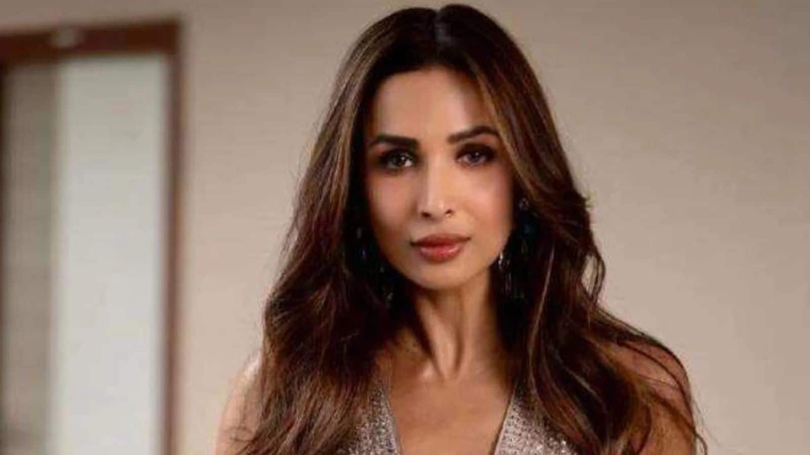 Malaika Arora: मलाइका अरोड़ा का लग्जरी फ्लैट किराए पर, तीन साल की डील में करोड़ों की कमाई