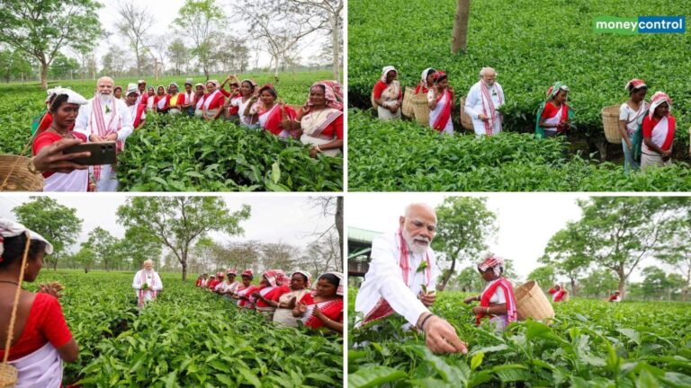 PM Modi Visit Assam: पीएम मोदी ने असम के चाय बागान का किया दौरा! महिला मजदूरों के साथ तोड़ी पत्तियां, सेल्फी भी ली
