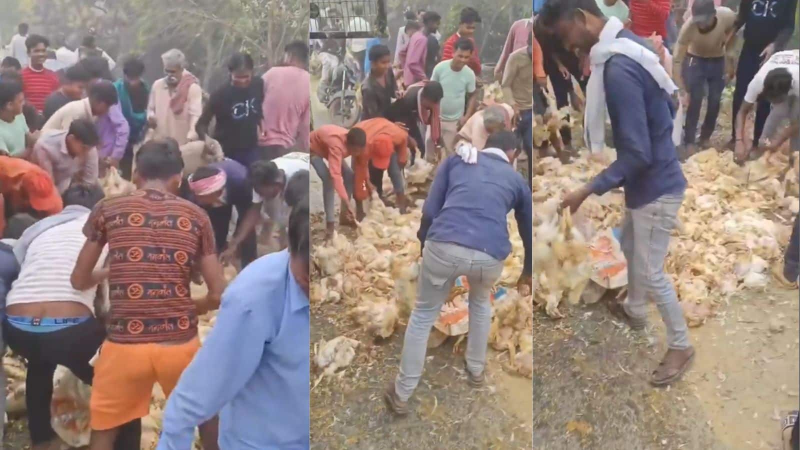 Video: चिकन देखते ही बेकाबू हुई भीड़, लोगों का रिएक्शन देख नहीं होगा यकीन