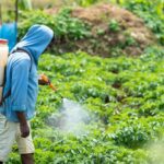 Rallis India Q4 Results: टाटा की कंपनी को ₹15 करोड़ घाटा, फिर भी शेयरधारकों को मिलेगा डिविडेंड